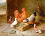 unknow artist Poultry 093 USA oil painting artist